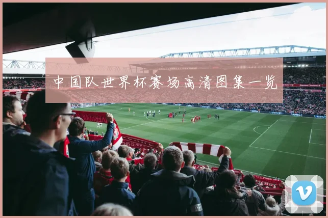 中国队世界杯赛场高清图集一览