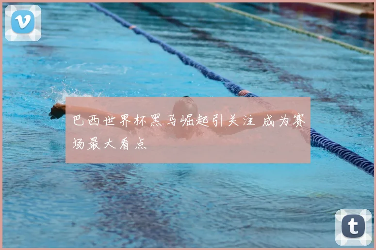 巴西世界杯黑马崛起引关注 成为赛场最大看点