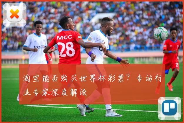 淘宝能否购买世界杯彩票？专访行业专家深度解读