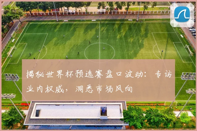 揭秘世界杯预选赛盘口波动:专访业内权威,洞悉市场风向