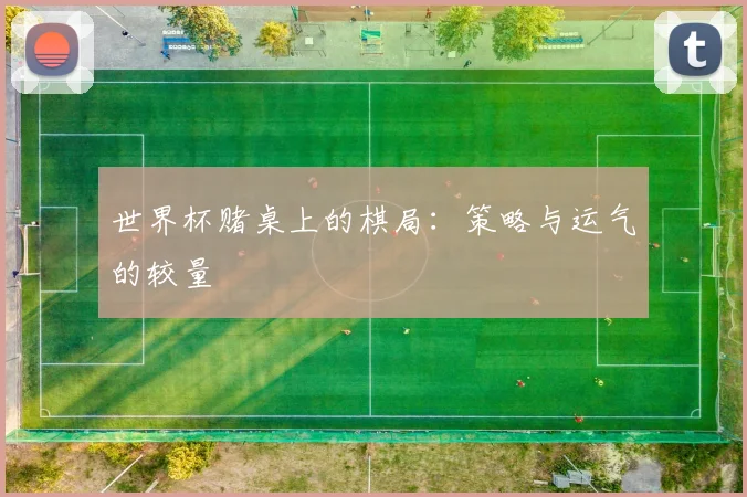 世界杯赌桌上的棋局：策略与运气的较量