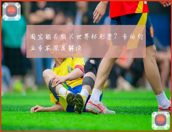 淘宝能否购买世界杯彩票？专访行业专家深度解读